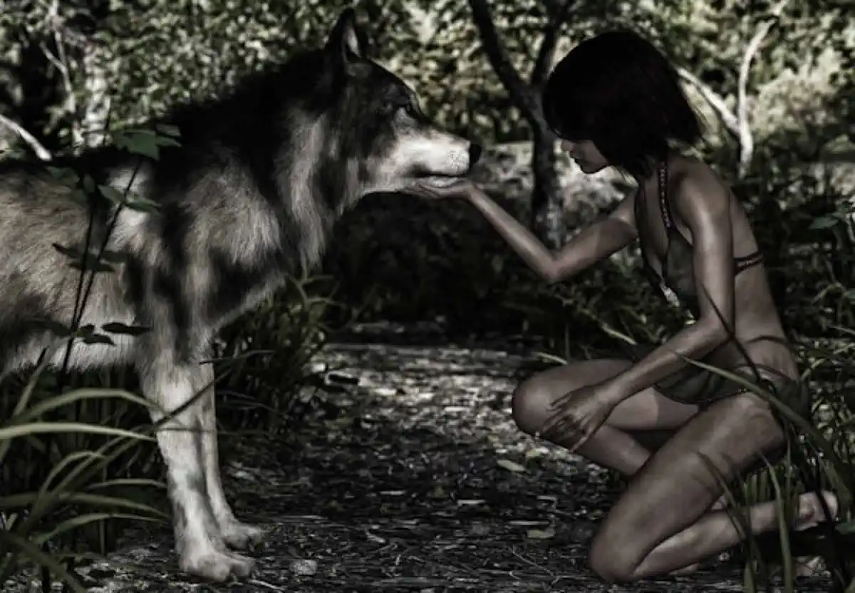 Bild zu Hund Weg 🐶 war der Beginn der Domestizierung